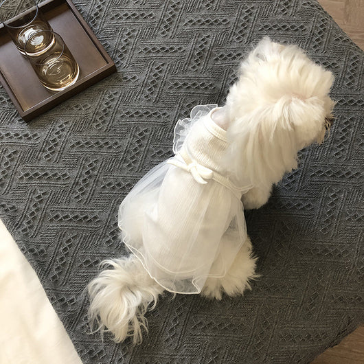 Falda Coreana Blanca para Perros - Image 10