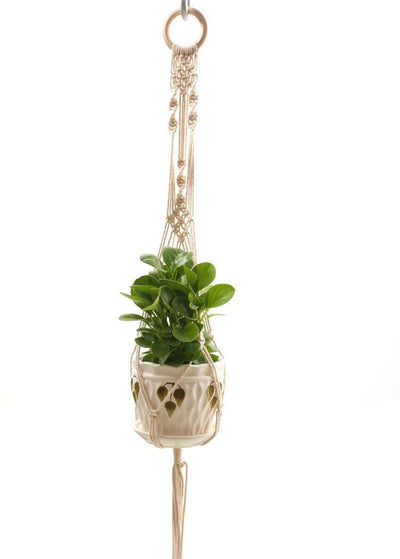 Colgador de Plantas Tejido Artesanal para Pared - Image 8