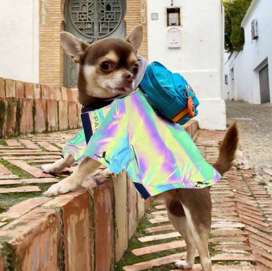 Ropa Reflectante Microcristalina para Perros - Image 5