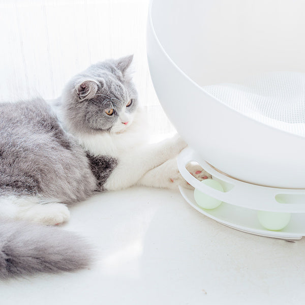Nido Felino Multifuncional Semicerrado Universal