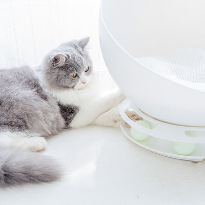 Nido Felino Multifuncional Semicerrado Universal