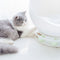 Nido Felino Multifuncional Semicerrado Universal