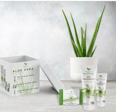 Gel de Aloe Vera Hidratante y Reparador - Image 11