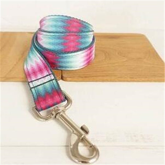 Juego de Collar y Correa para Perro con Patrón y Cinta de Color - Image 5