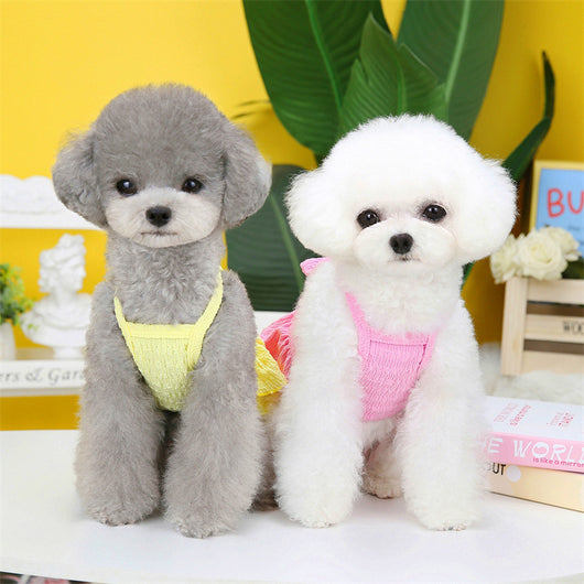 Vestido Princesa para Perros Pequeños - Falda Capas Elegante Teddy Bichon - Image 14