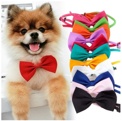 Correas y Accesorios para Mascotas con Diseño Floral y Moños Mariposa - Image 2