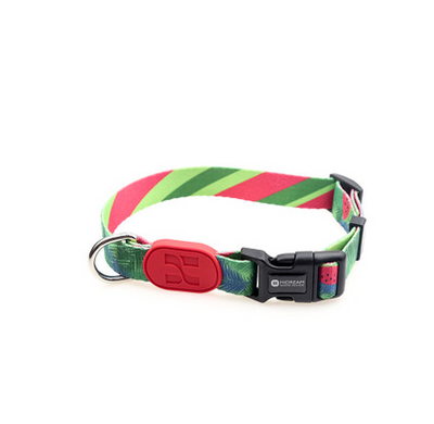 Collar de Perro Colorido - Image 16
