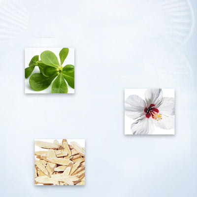 Mascarilla de Camelia - Image 4