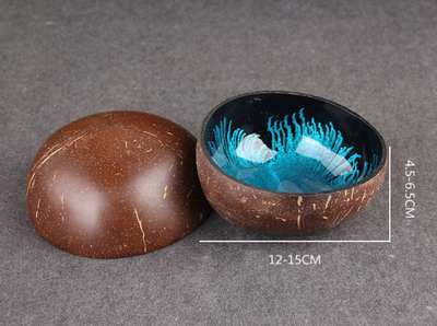 Tazón de Cáscara de Coco Ecológico - Image 9
