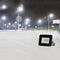 Cold White 100 W