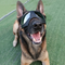 Gafas Protectoras Impermeables para Perros - Lentes de Seguridad Ajustables