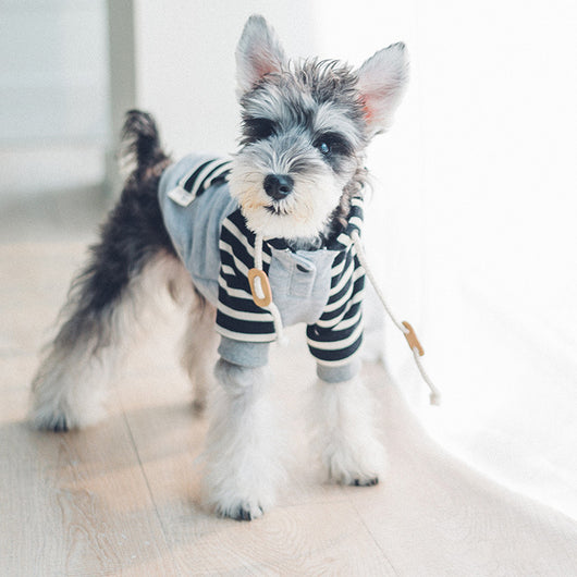 Sudadera con Capucha para Perros - Image 2