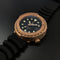 Bronze C 3