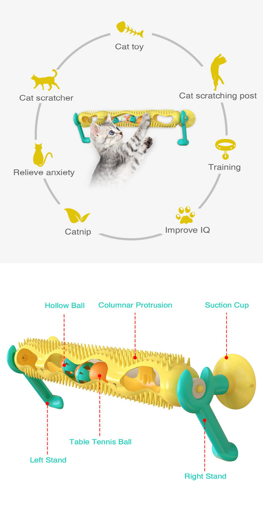 Grey tabby kitten playing with a yellow and teal wall-mounted cat toy featuring a track with rolling balls. - Image 6