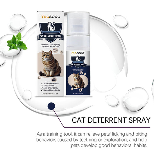 Spray Disuasivo Anti-Mordidas para Perros y Gatos - Protector de Muebles - Image 14