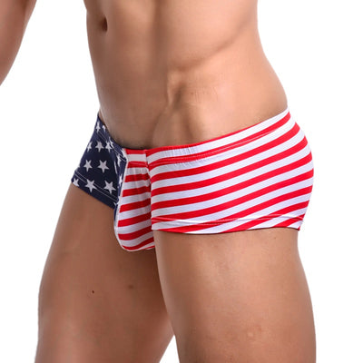 Shorts con Estampado de Banderas - Image 4
