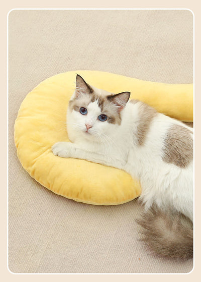 Cojín Ergonómico Cervical para Perros y Gatos - Almohada Universal de Apoyo - Image 15