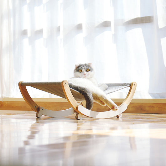 Juguete Sonajero de Madera Maciza para Gatos - Image 3