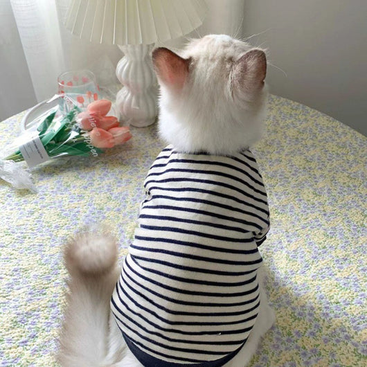 Suéter Gato Dos Bolsillos - Image 3