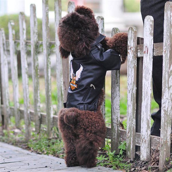Chaqueta de Cuero con Bordado de Águila para Perros Pequeños