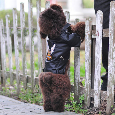 Chaqueta de Cuero con Bordado de Águila para Perros Pequeños - Image 2