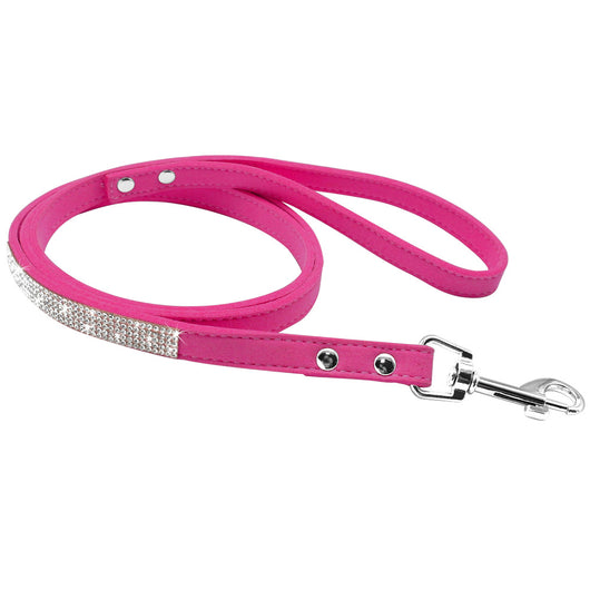Collar para Perro Estilo Hot Dog - Image 13