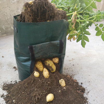 Bolsa de Cultivo en Tela PE para Huertos y Jardines - Image 4