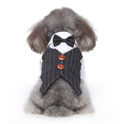 Conjunto de Ropa para Perros - Traje Completo de Moda - Image 38