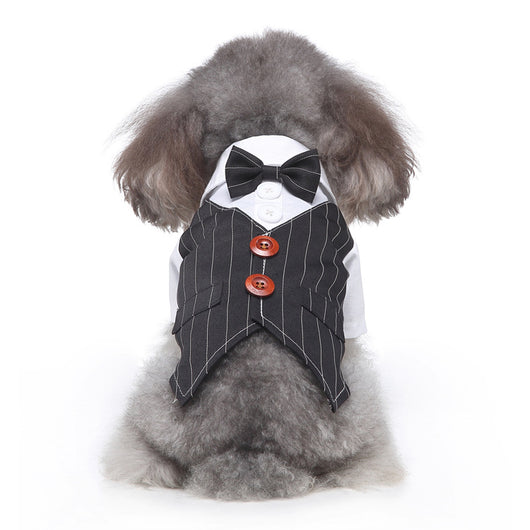 Conjunto de Ropa para Perros - Traje Completo de Moda - Image 38