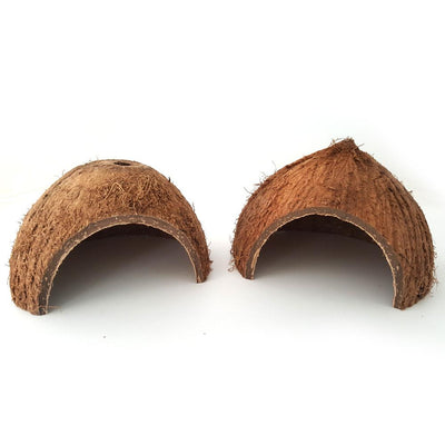 Two natural coconut shell hideouts for reptiles, featuring a rough brown exterior and a smooth interior.
