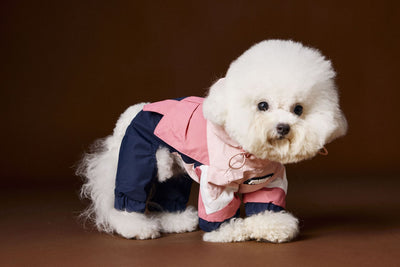 Ropa Deportiva para Perros Bichon Schnauzer con Arnés de Seguridad VIP - Image 3