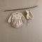 Apricot Set 66 Cm