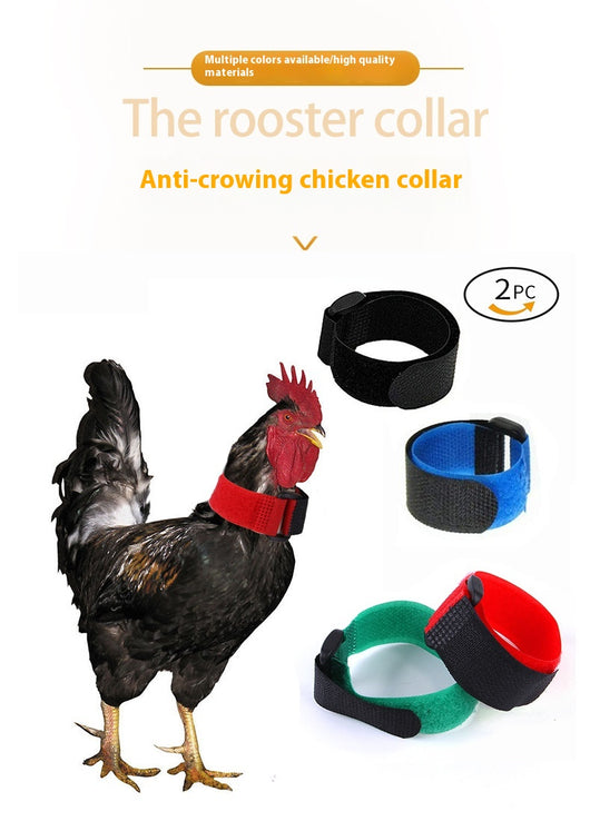 Pack 2 Collares Gallinas Anti-Ruido sin Gancho - Banda Cuello Cómoda - Image 13
