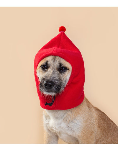 Gorro Polar Divertido para Mascotas - Diseño Transformable - Image 15