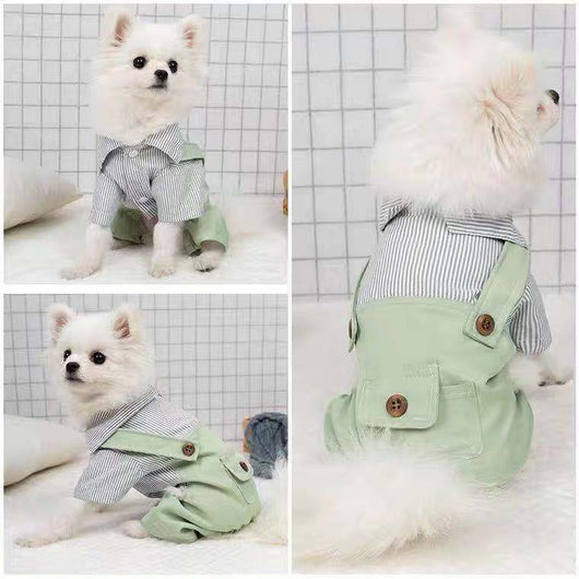 Ropa Ligera para Mascotas - Abrigo Primavera y Otoño para Perros y Gatos - Image 3