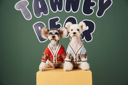 Suéter Preppy a Rayas para Perros y Gatos - Chaleco V-Neck Cálido de Invierno - Image 14