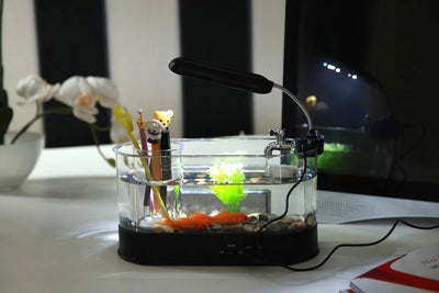 Acuario Escritorio USB con Reloj, Temperatura y Organizador - Image 5