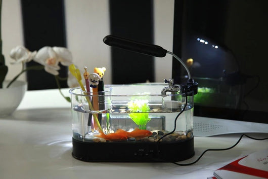 Acuario Escritorio USB con Reloj, Temperatura y Organizador - Image 5