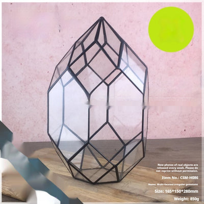 Jardín en Miniatura de Suculentas en Caja de Cristal - Ecosistema Eterno - Image 9