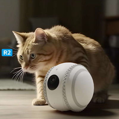 Gato Robot Inteligente con Monitoreo en Vivo