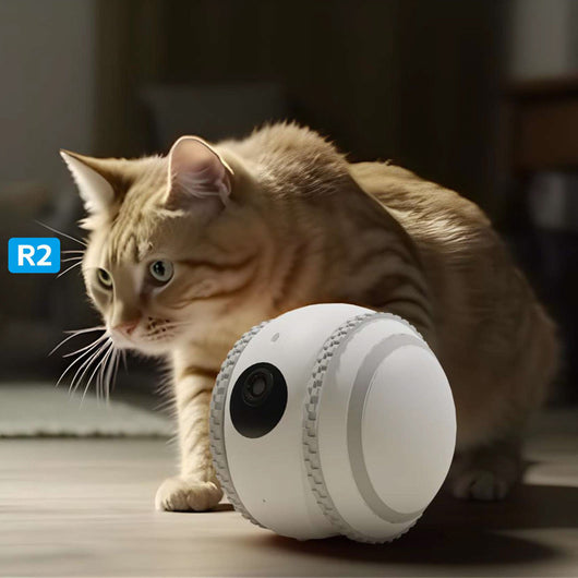 Gato Robot Inteligente con Monitoreo en Vivo