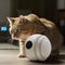 Gato Robot Inteligente con Monitoreo en Vivo