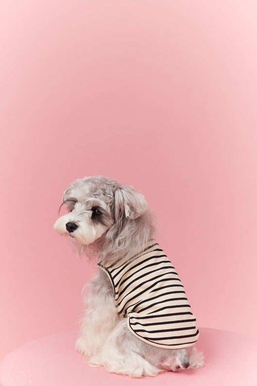 Chaleco sin Mangas Schnauzer Teddy Bichón a Rayas Cerezo - Image 13