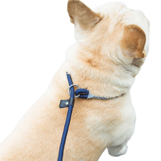 Cuerda de Entrenamiento para Pasear Perros con Agarre Manual - Image 5