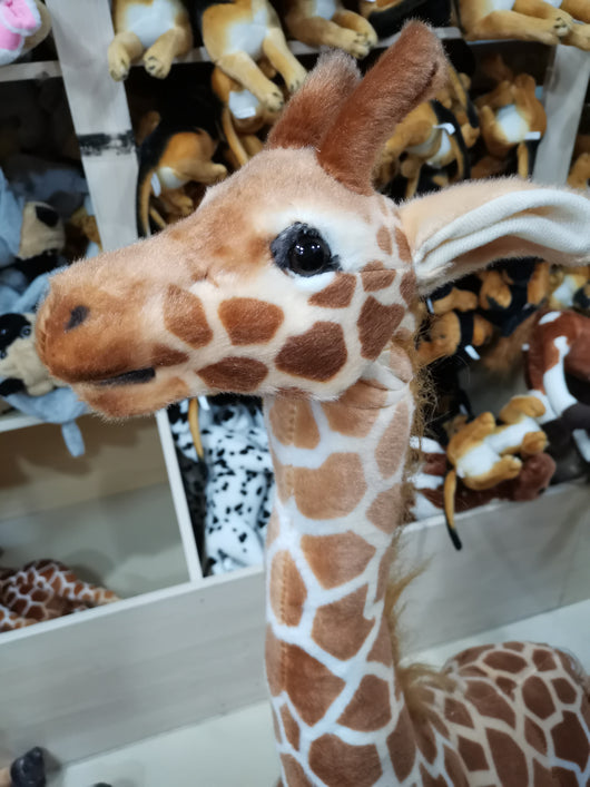 Peluche Venado Ciervo - Juguete Educativo Temática Zoo - Image 23