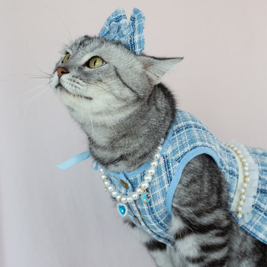 Vestido de Moda para Gatos - Falda Elegante y Adorable - Image 20