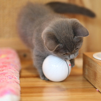 Pink plastic interactive pet toy ball with a power button and 'CLOSE'/'OPEN' markings for cats. - Image 6