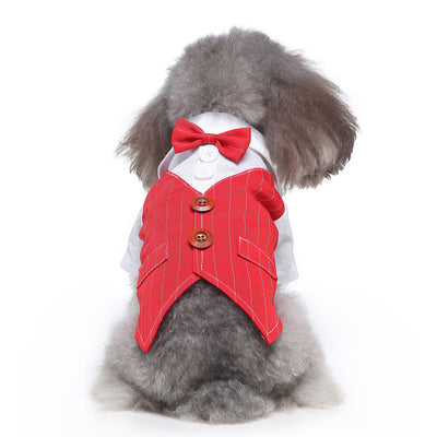 Conjunto de Ropa para Perros - Traje Completo de Moda - Image 28