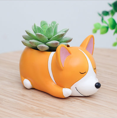 Maceta Decorativa Mascota Durmiente con Suculenta - Image 12