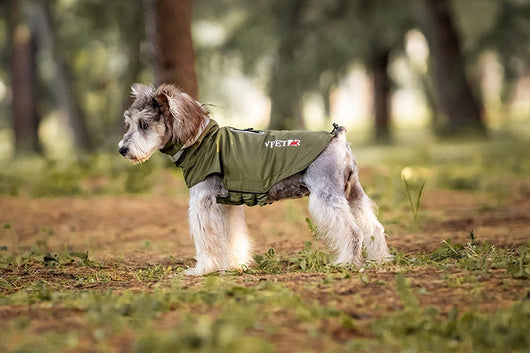 Poncho Impermeable Reflectante para Perros - Protección Total en Lluvia y Viento - Image 15